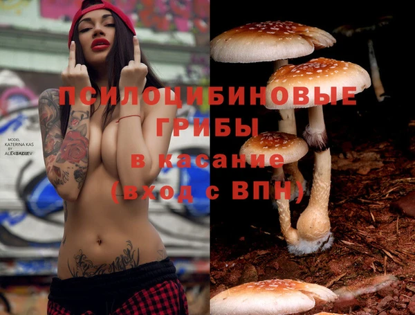 дурь Каменка