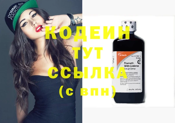 дурь Каменка