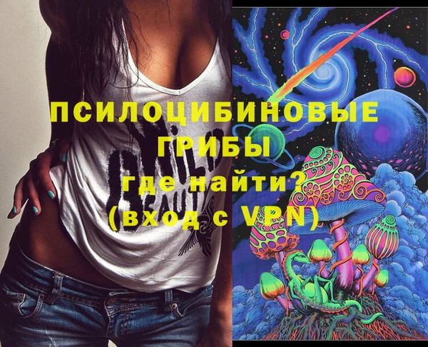 гидропоника Каменногорск