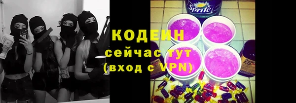 дурь Каменка