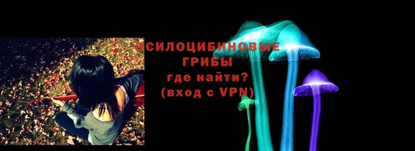 дурь Каменка