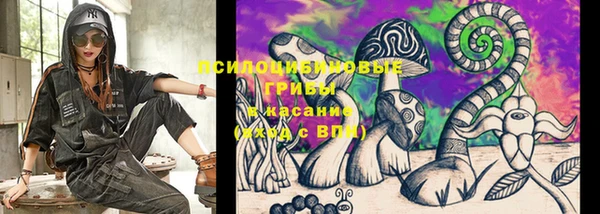 гидропоника Каменногорск