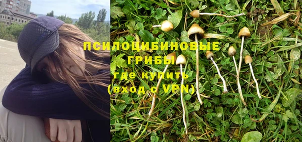 гидропоника Каменногорск