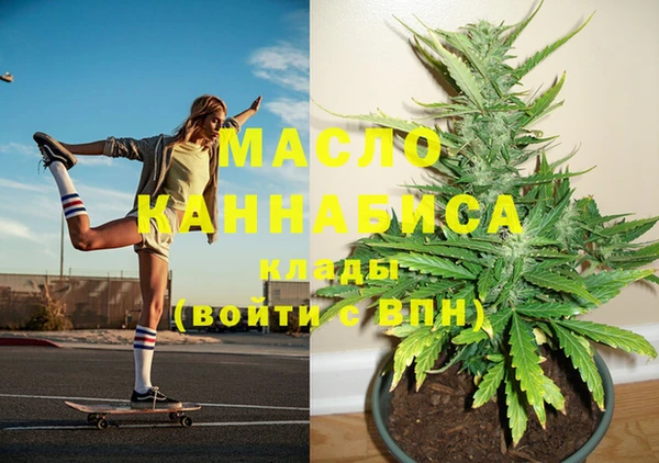 дурь Каменка