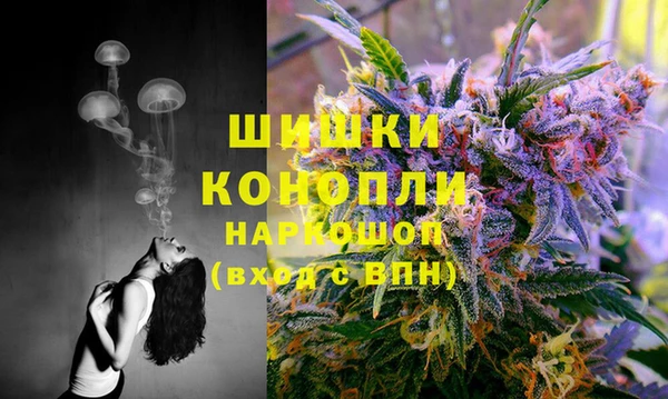 дурь Каменка